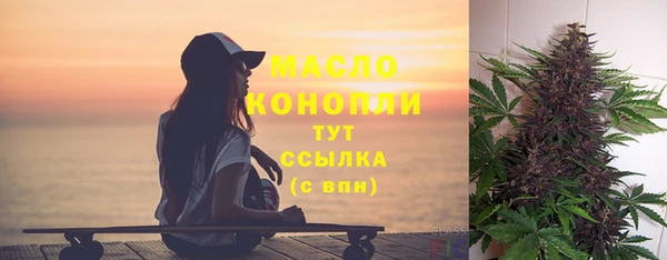 тгк Володарск