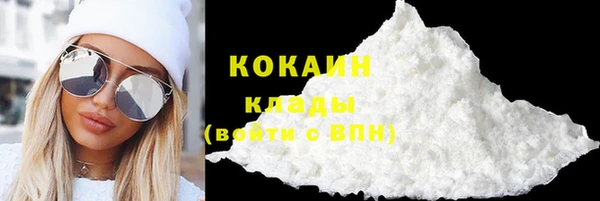тгк Володарск